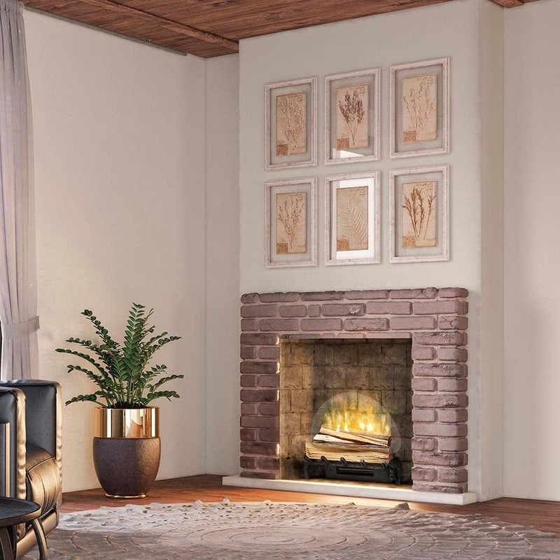 Dimplex X-RLG20FC Fireplace - Electric Fireplaces | SKU RLG20FC